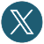 X (Twitter)